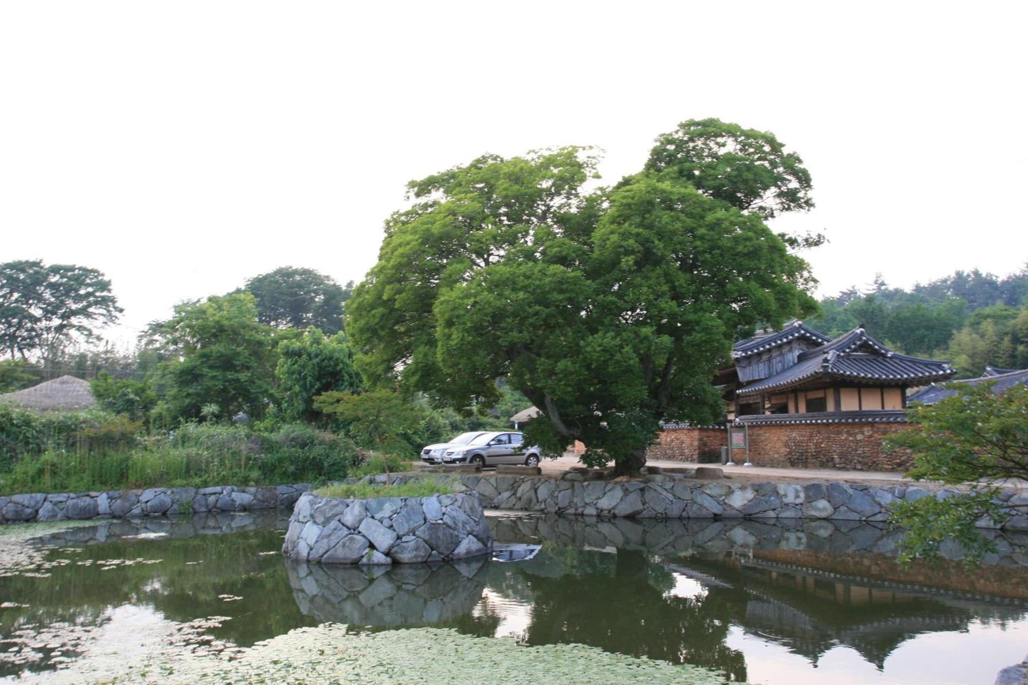 Jinrae Lee'S Traditional House Boseong エクステリア 写真
